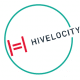 Hivelocity case study
