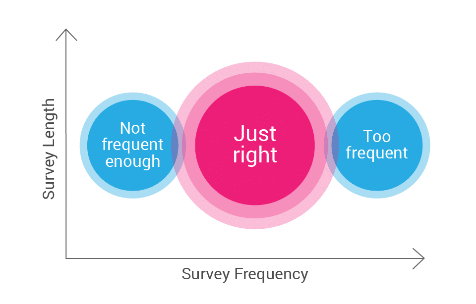 ideal survey frequency