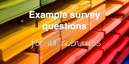 Example survey questions