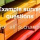 Example survey questions