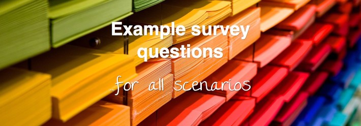Example survey questions