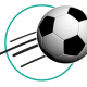 online surveys soccer