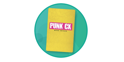 Punk CX book review Adrian Swinscoe CT