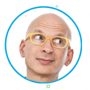 Seth Godin Surveys